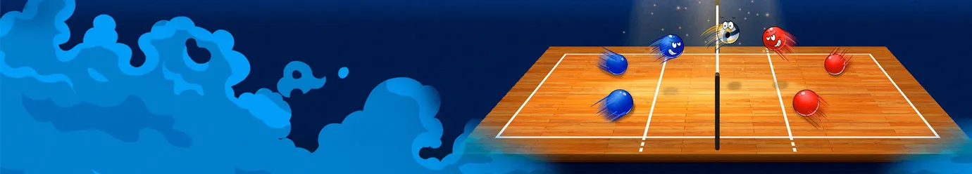 국제 배구 리그